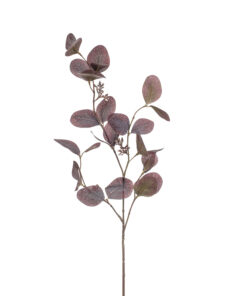 ΚΛΑΔΙ ΕΥΚΑΛΥΠΤΟΣ ΣΚΟΥΡΟ ΚΑΦΕ/ΜΩΒ