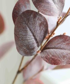 000 032 1040 : 427342 1