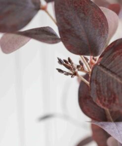 000 032 1040 : 427342 2