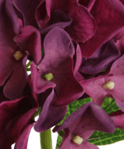 000 125 0370 : 22964 20 1