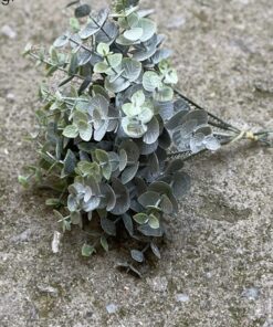 ΜΙΚΡΟ ΜΠΟΥΚΕΤΑΚΙ ΕΥΚΑΛΥΠΤΟΣ ΠΡΑΣΙΝΟΣ