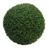 BUXUS ΤΟΥΦΑ ΠΡΑΣΙΝΗ