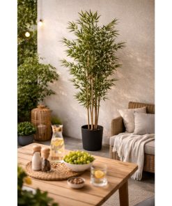 ΔΙΑΚΟΣΜΗΤΙΚΟ ΦΥΤΟ ΒΑΜΒΟΟ ΣΕ ΜΑΥΡΗ ΠΛΑΣΤΙΚΗ ΓΛΑΣΤΡΑ