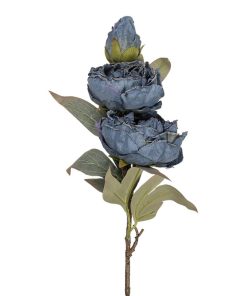 ΚΛΑΔΙ ΜΕ ΚΛΕΙΣΤΗ ΠΑΙΩΝΙΑ ΣΚΟΥΡΟ ΜΠΛΕ