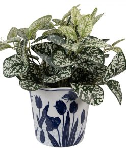 ΛΕΥΚΟ ΚΕΡΑΜΙΚΟ ΚΑΣΠΩ ΜΕ ΜΠΛΕ ΑΝΘΑΚΙΑ - LARGE